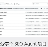 分享个 SEO Agent 项目