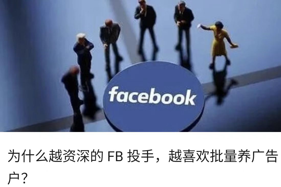 为什么越资深的 FB 投手，越喜欢批量养广告户？