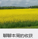 聊聊本周的收获