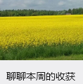 聊聊本周的收获