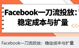 Facebook一刀流投放：稳定成本与扩量