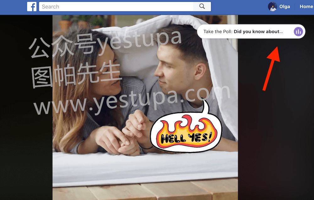 如何使用Facebook视频投票进行民意调查？