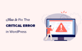 如何处理 Critical Error in WordPress