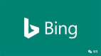 干货|Bing购物广告+搜索广告搭建全流程