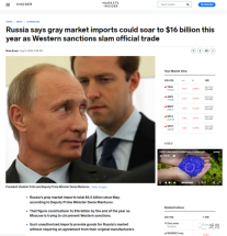 灰色市场进口总额65亿$，现在开发俄罗斯市场前景如何？