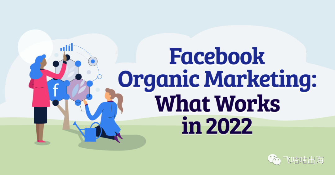 Facebook 有机营销：2022 年有效的方法