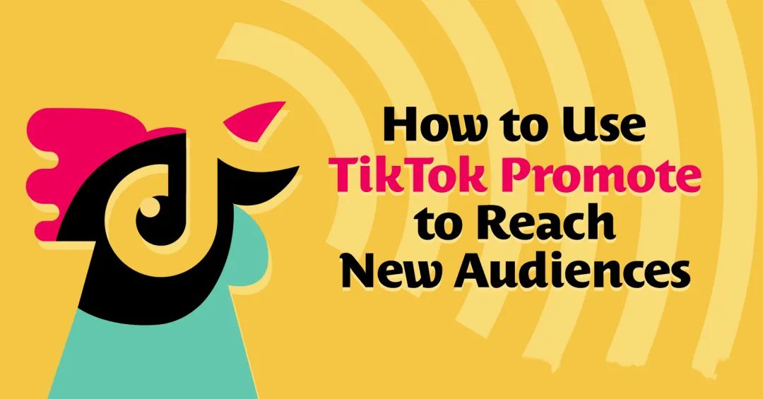 如何使用 TikTok 推广吸引新受众？