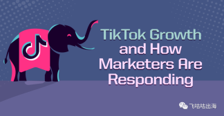TikTok 的增长以及营销人员的反应