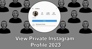 如何查看私人instagram个人资料？