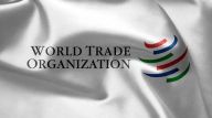 世界贸易组织（WTO）规则介绍