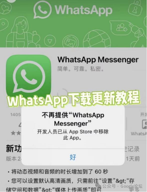 WhatsApp手机端下载与更新问题！