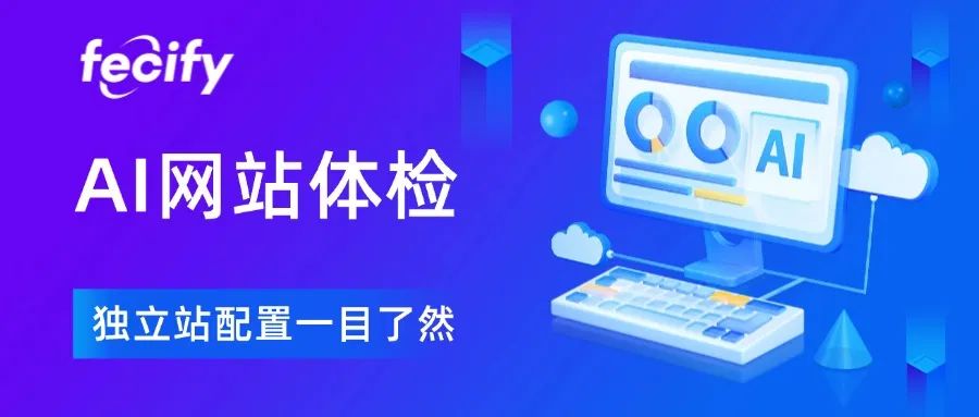 Fecify AI 网站体检功能