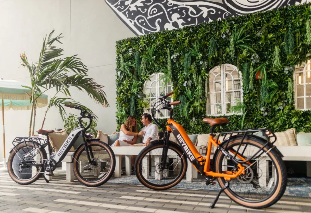 拿下前3市占率，E-bike頭部品牌Heybike如何借助Shopify Plus揚(yáng)帆出海？