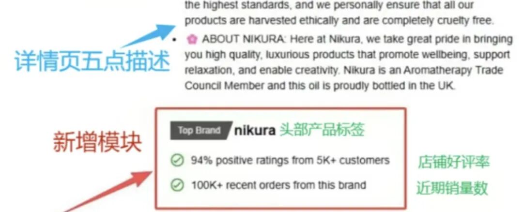 重磅上线！亚马逊详情页又新增一决定性模块