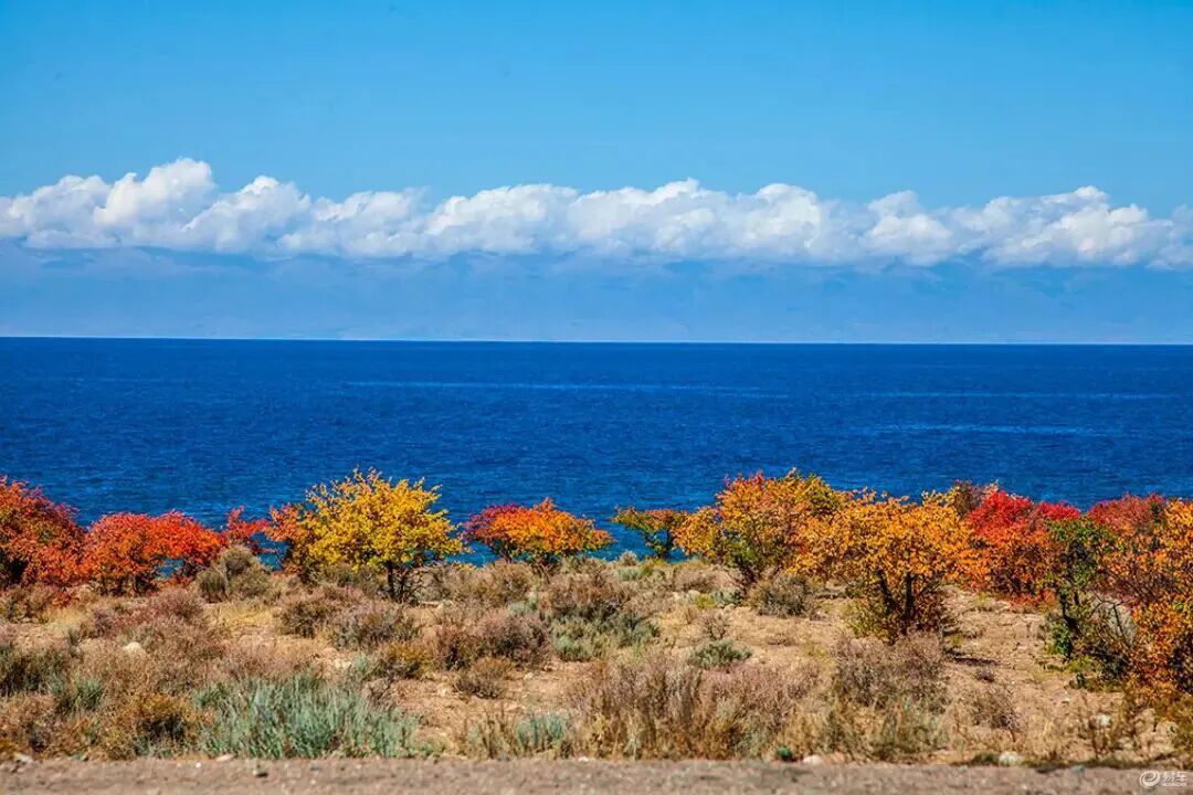 2026 吉尔吉斯斯坦贸易玩赚指南｜中亚小瑞士的颜值与商机 湖光黄金共赴贸易新局